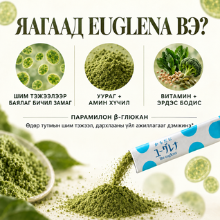 Euglena