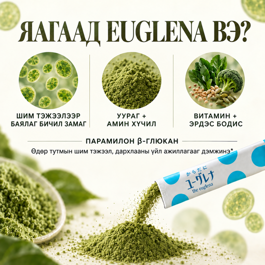 Euglena